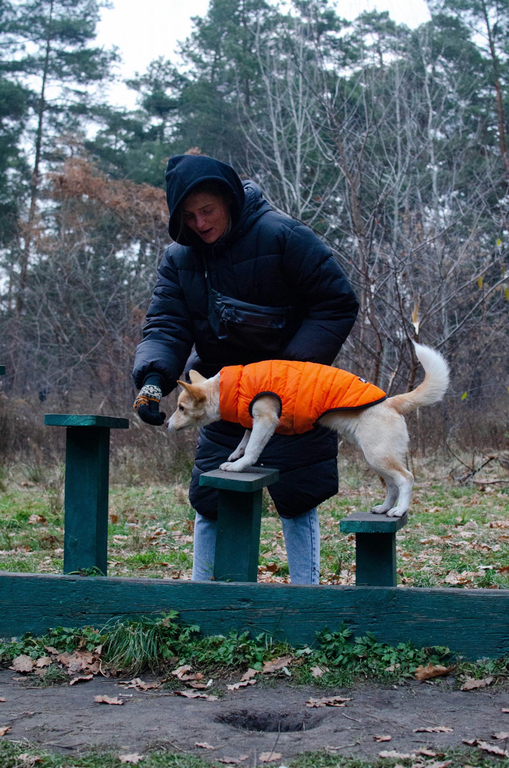 Help your dog to build confidence